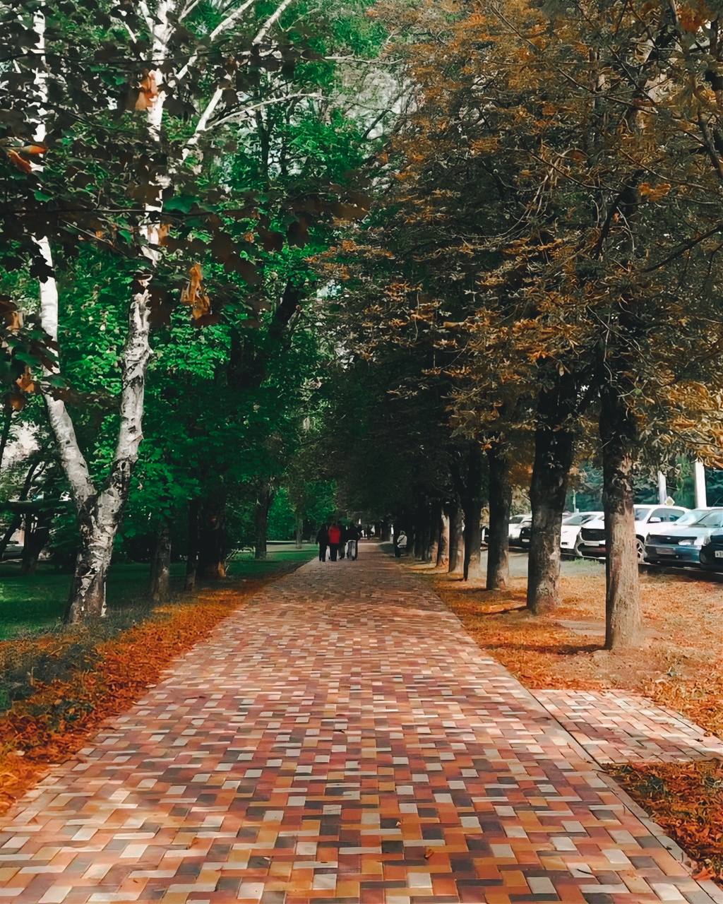 🍂 Осень уже на следующей неделе
📷 leninzzz | Сетка — социальная сеть от hh.ru