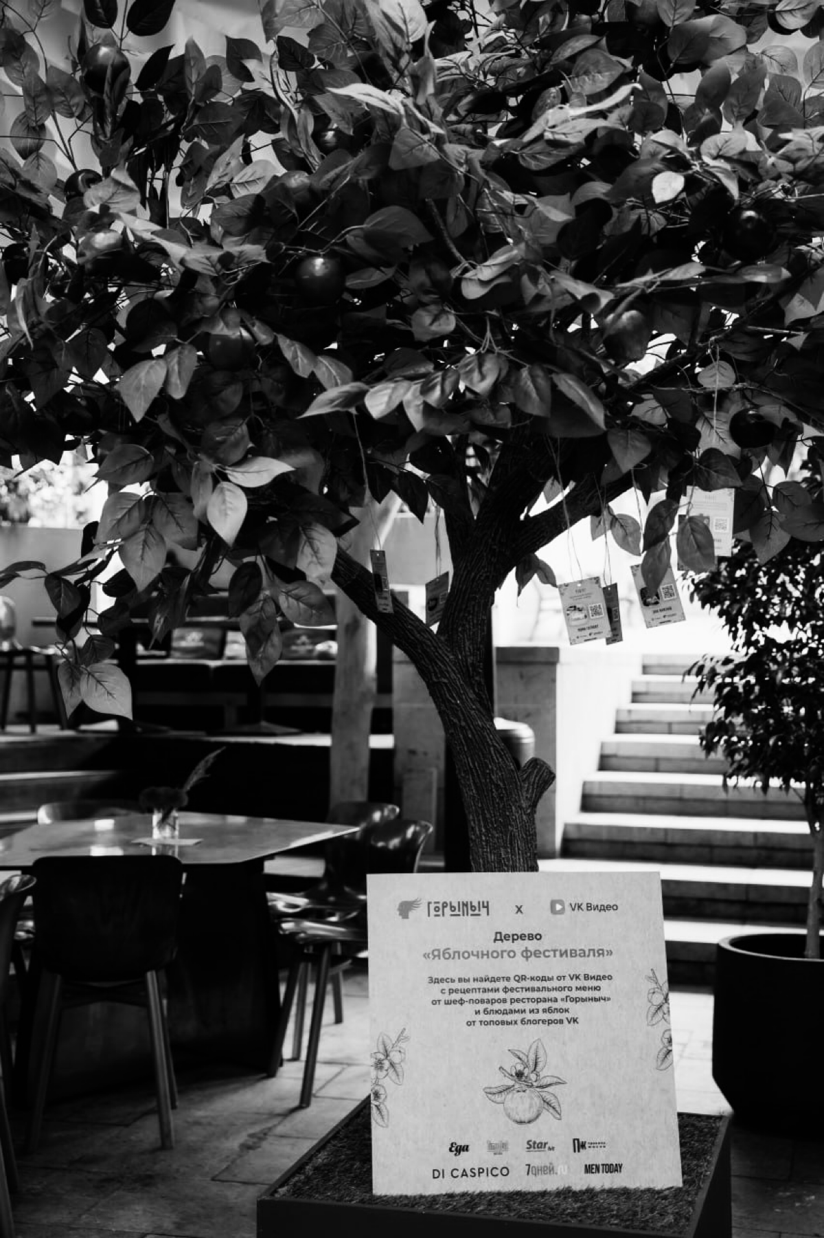 Пицца с яблоком? VK Видео говорит «да» | Сетка — социальная сеть от hh.ru