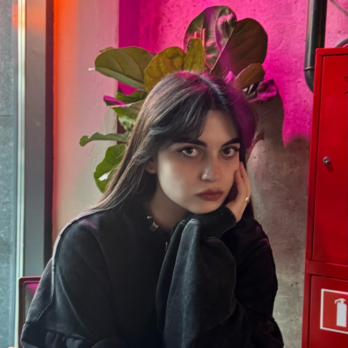 Лиля Даллакян | Сетка — социальная сеть от hh.ru