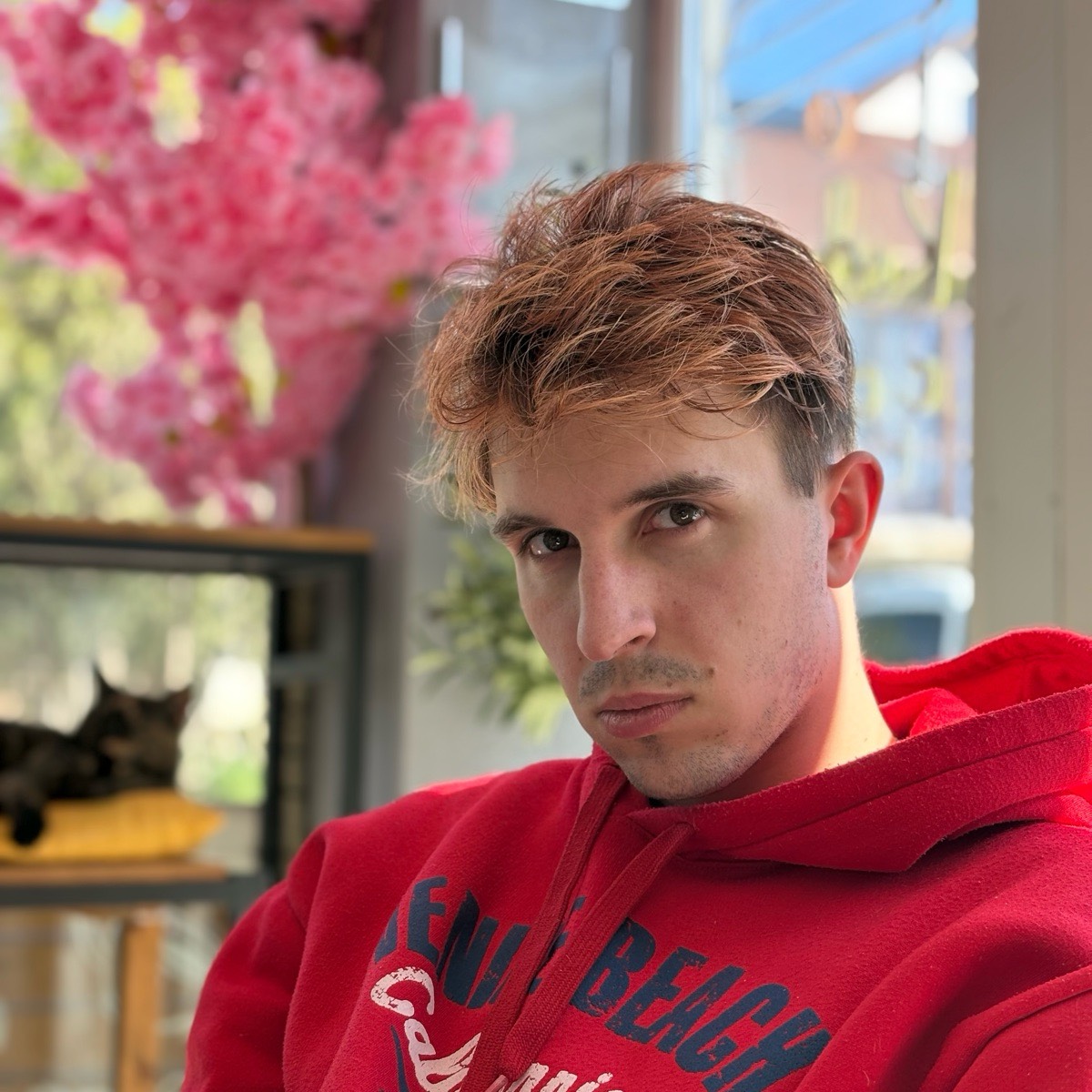 Владимир Колесник