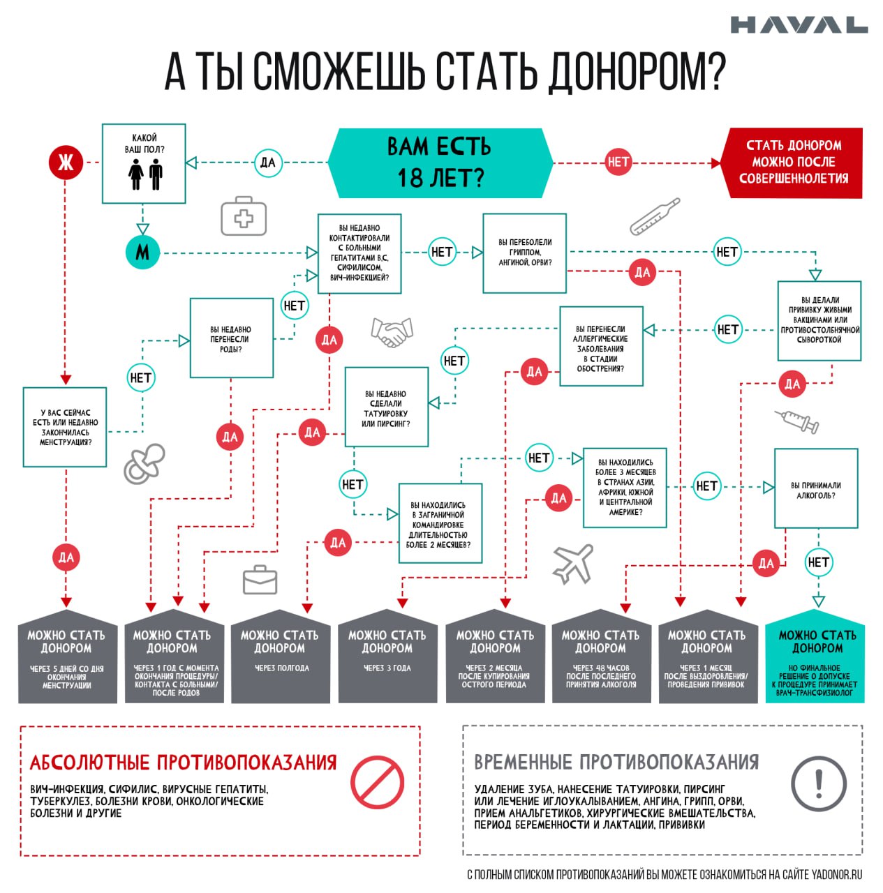 🦸‍♂️ Стань героем HAVAL
Наше волонтерское движение набирает обороты. Совместно с Тульской станцией переливания крови мы предлагаем вам стать донорами крови.
❗️Важно❗️
Это не разовая акция | Сетка — социальная сеть от hh.ru