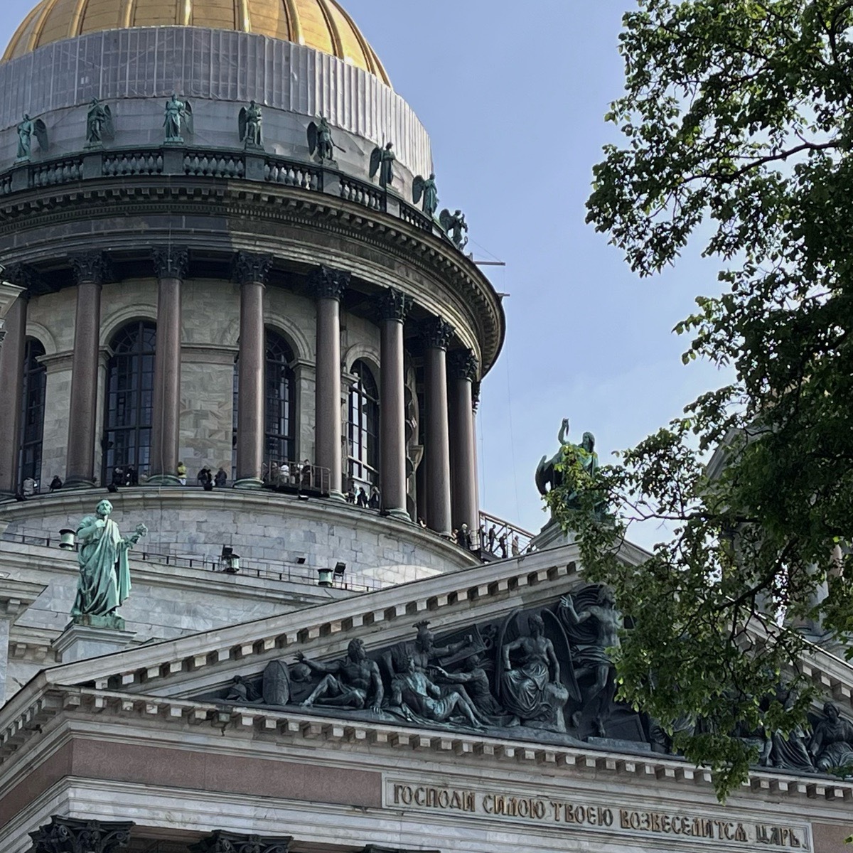 Daria Golivkina | Сетка — социальная сеть от hh.ru