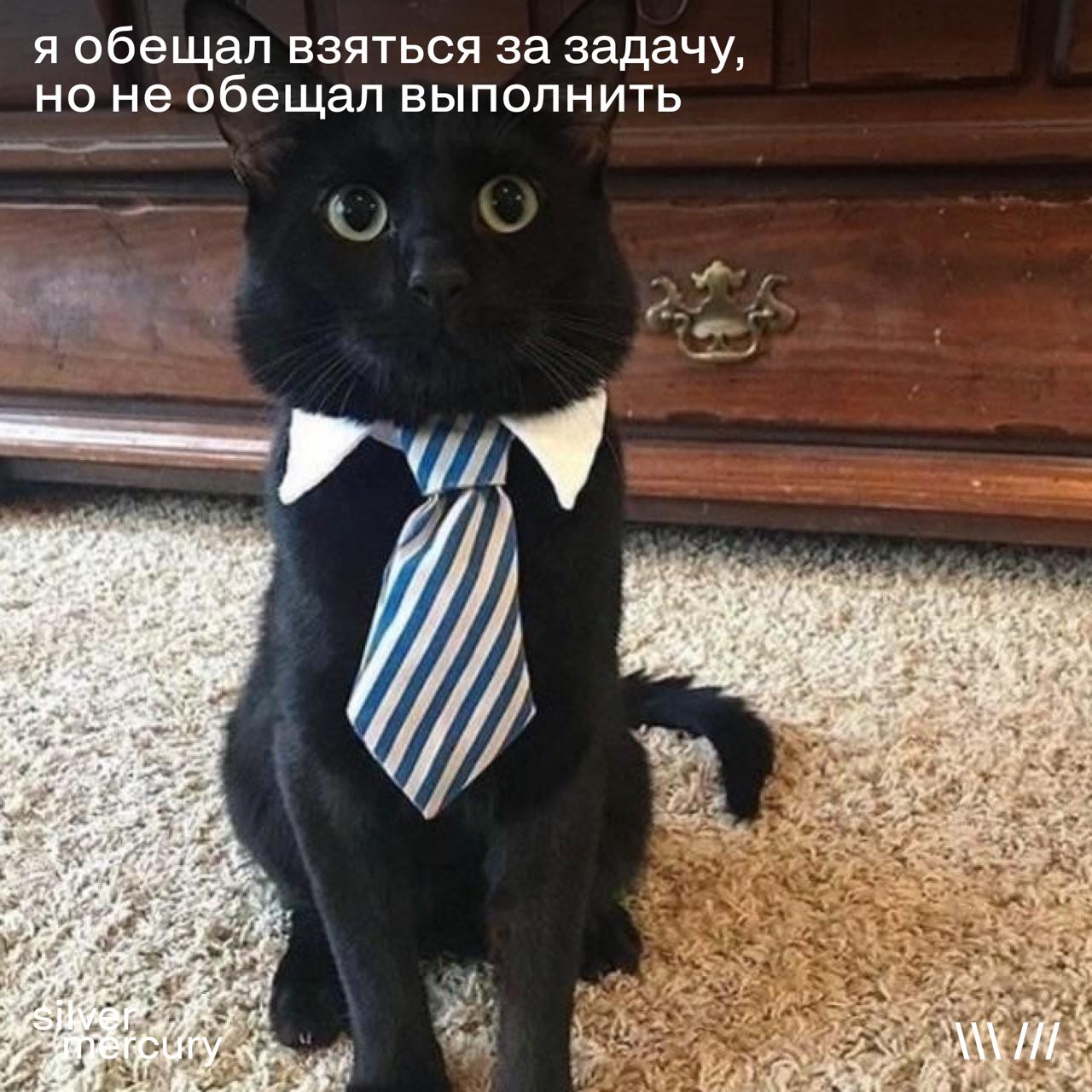 Мы чуть не пропустили самое важное...
День кино — это замечательно, но вы знали, что сегодня еще и день мемов? В общем, ни слова больше: подборка лучших специально для вас 🥰 | Сетка — социальная сеть от hh.ru