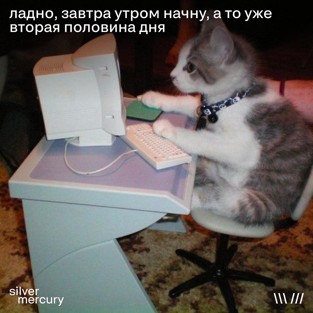 Мы чуть не пропустили самое важное...
День кино — это замечательно, но вы знали, что сегодня еще и день мемов? В общем, ни слова больше: подборка лучших специально для вас 🥰 | Сетка — социальная сеть от hh.ru