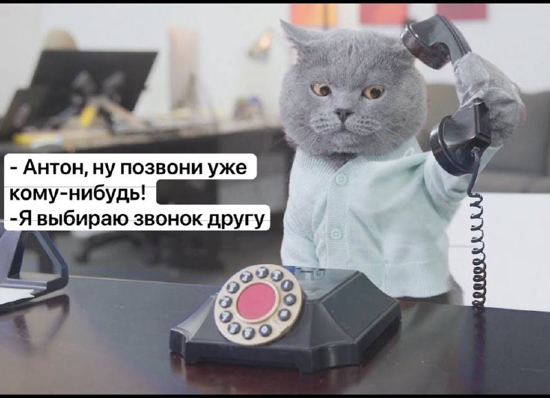 Ну что же, друзья, вот и четверг.
И мы продолжаем жить эту неделю на лайте | Сетка — социальная сеть от hh.ru