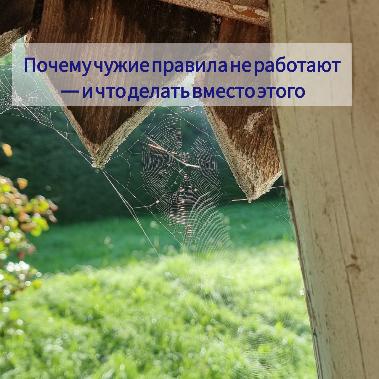 Когда ты начинаешь понимать себя, всё вокруг встаёт на свои места.
Мы часто пытаемся «вписаться» в чужие схемы:
– делать «как надо»
– работать «по правилам»
– жить «по стандартам» | Сетка — социальная сеть от hh.ru