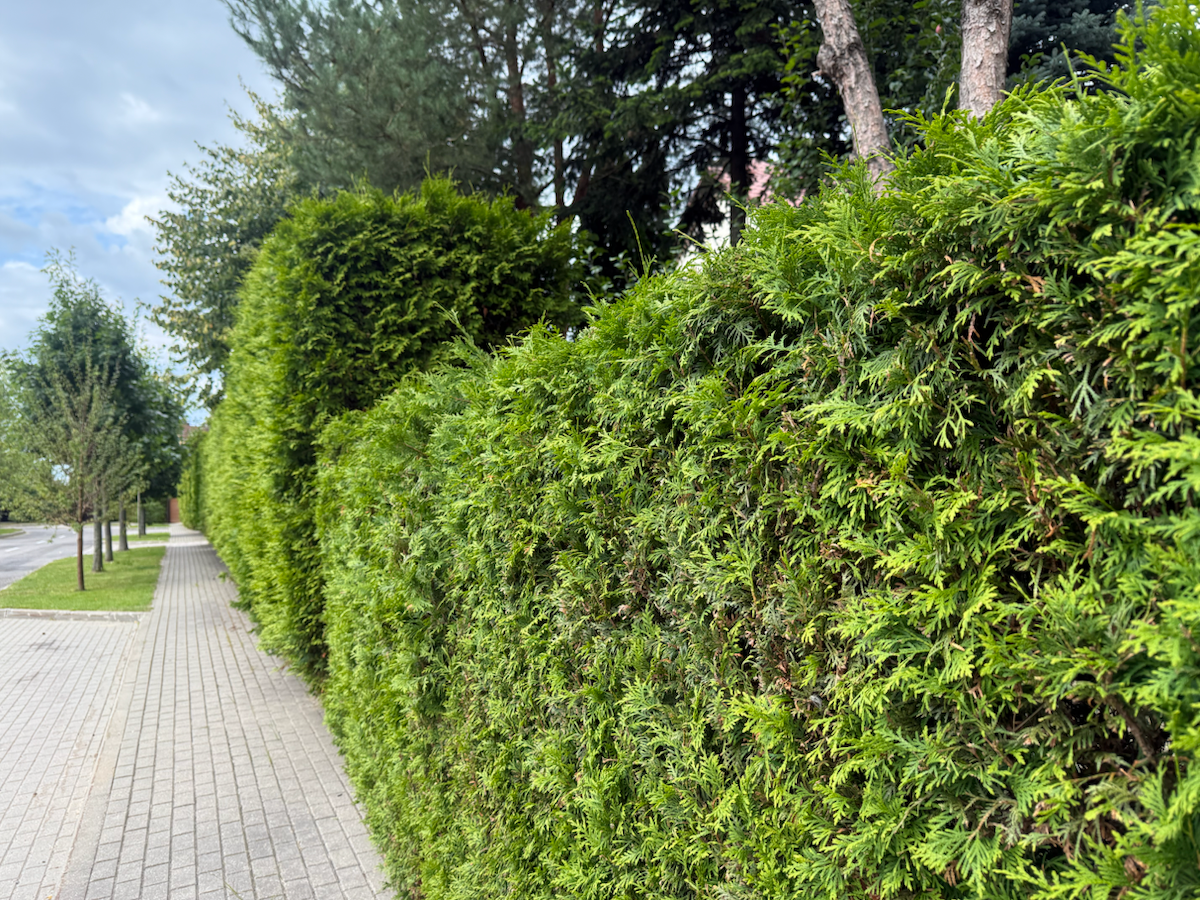 Перемены: принципы шагов | Сетка — социальная сеть от hh.ru