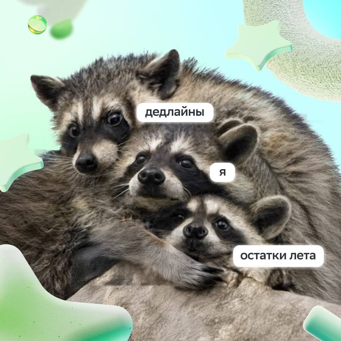Получать яркие эмоции можно не только летом, не забывай!
Новые знакомства, интересные открытия и смелые идеи ждут в Первой линии Сбера круглый год | Сетка — социальная сеть от hh.ru