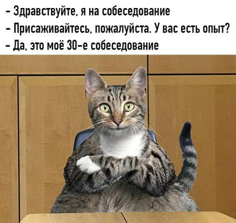 Все чаще слышу фразу: «Невозможно устроиться на работу!»
Давай разберемся, что с рынком труда в 2025 и чего ждать осенью | Сетка — социальная сеть от hh.ru
