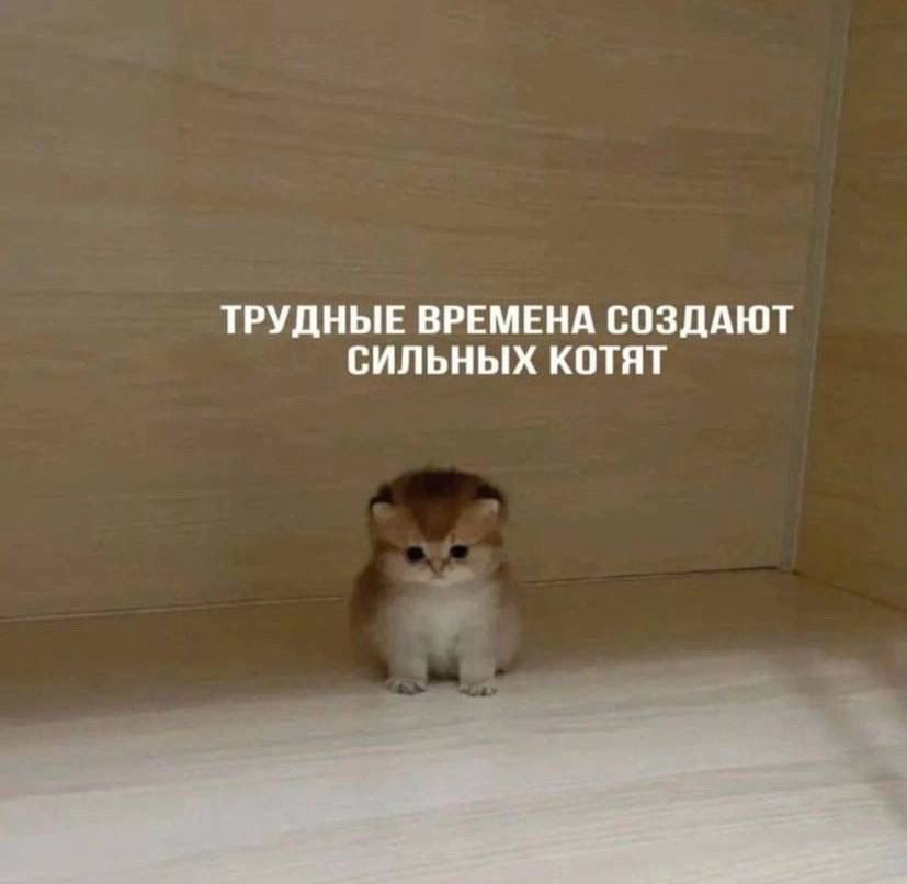 Тревожность как суперсила на работе | Сетка — социальная сеть от hh.ru