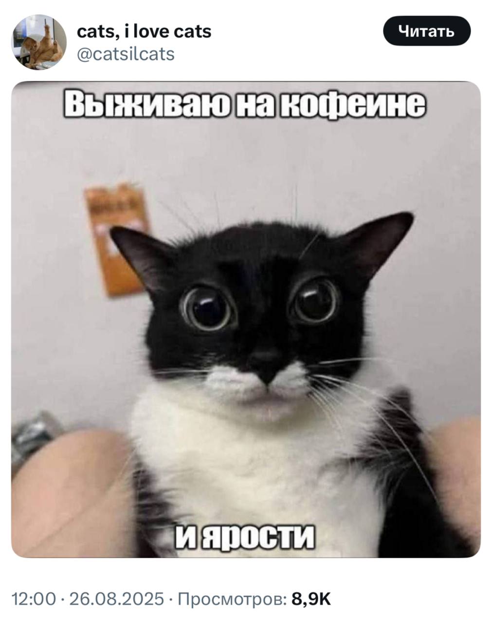 Середина рабочего дня, обстановка: | Сетка — социальная сеть от hh.ru