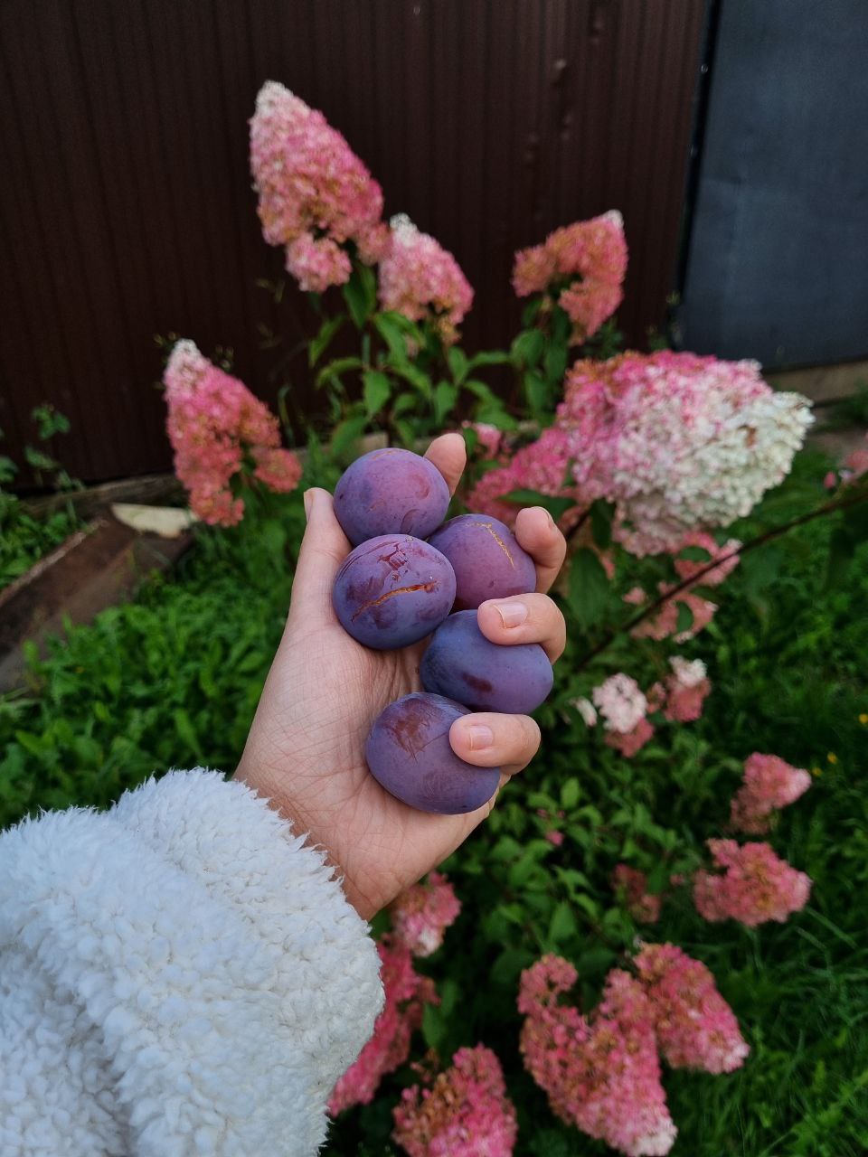 🤩🤩🤩🤩🤩🤩 🤩🤩🤩🤩🤩🤩
Я официально подтверждаю: отдыхать — это не преступление | Сетка — социальная сеть от hh.ru