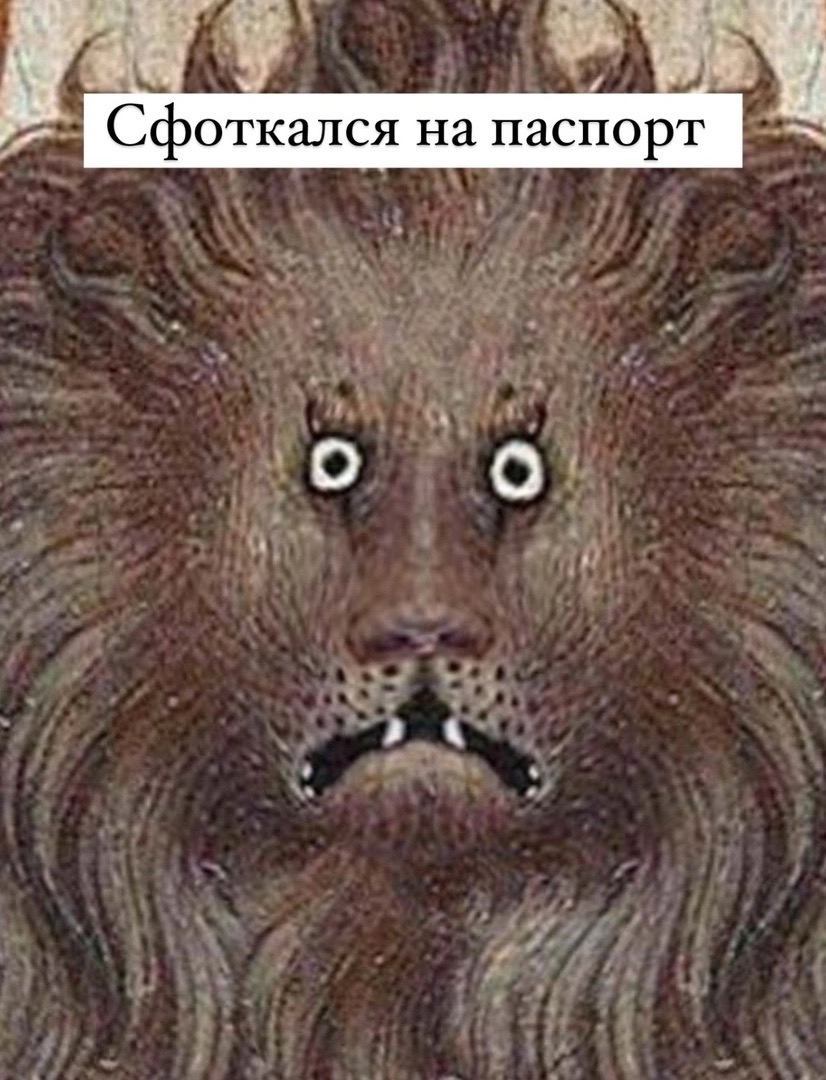 А у вас красивое фото в паспорте? | Сетка — социальная сеть от hh.ru