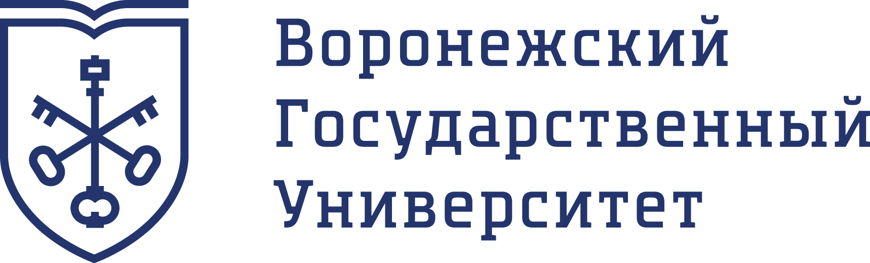 Воронежский государственный университет