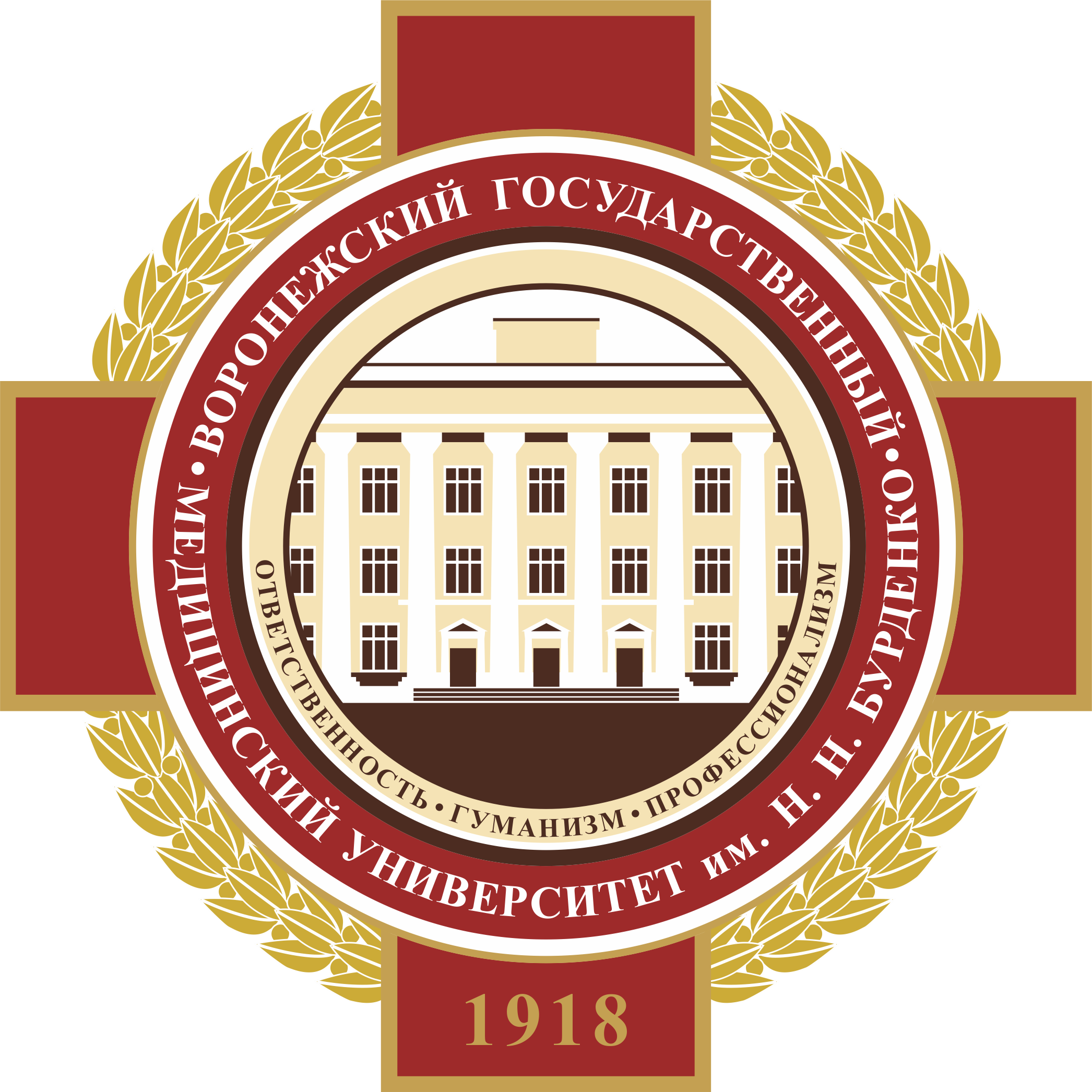 Воронежский государственный медицинский университет имени Н.Н. Бурденко