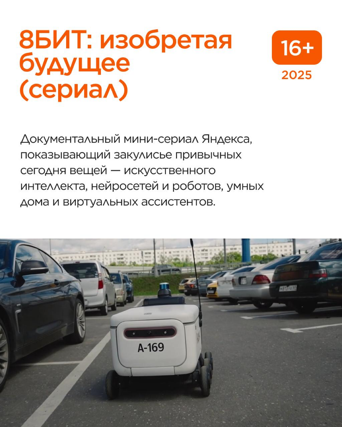 🎬 Продолжаем нашу рубрику про кино, но теперь уходим в документалистику | Сетка — социальная сеть от hh.ru