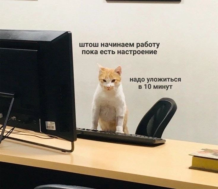 Как я превращаю рутину в драйв | Сетка — социальная сеть от hh.ru