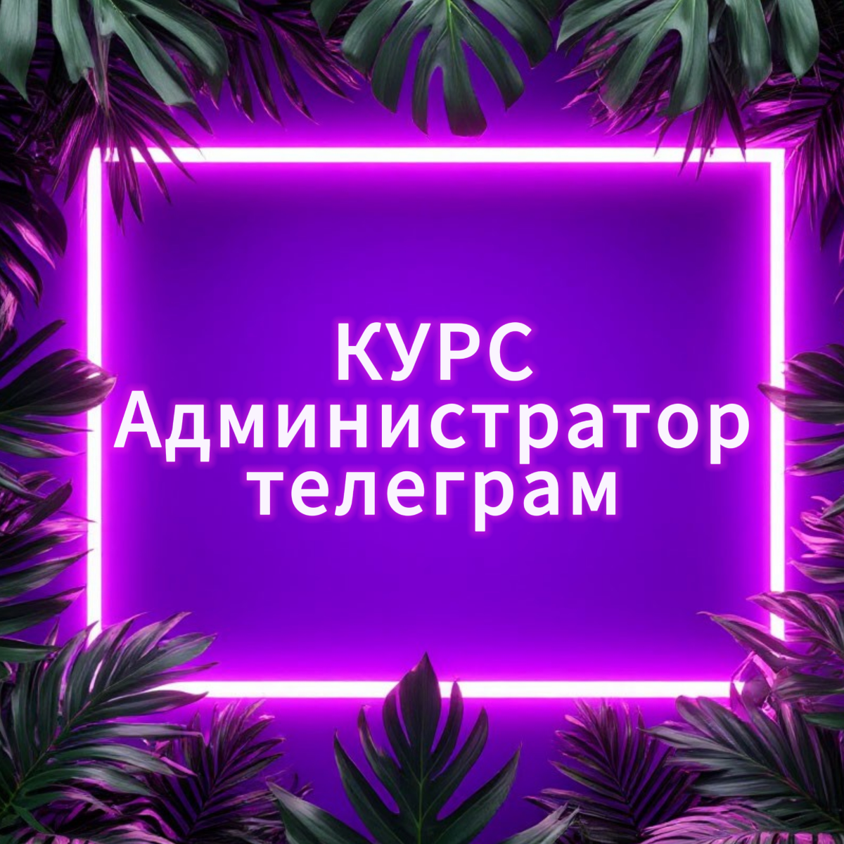 Курс Администратор телеграм | Сетка — социальная сеть от hh.ru
