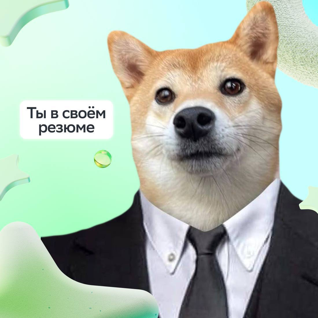 Но мы-то знаем, что идеальные кандидаты умело сочетают эти состояния ;)
Если ты и весёлый коллега, и талантливый специалист, заглядывай в дайджест IT-вакансий | Сетка — социальная сеть от hh.ru