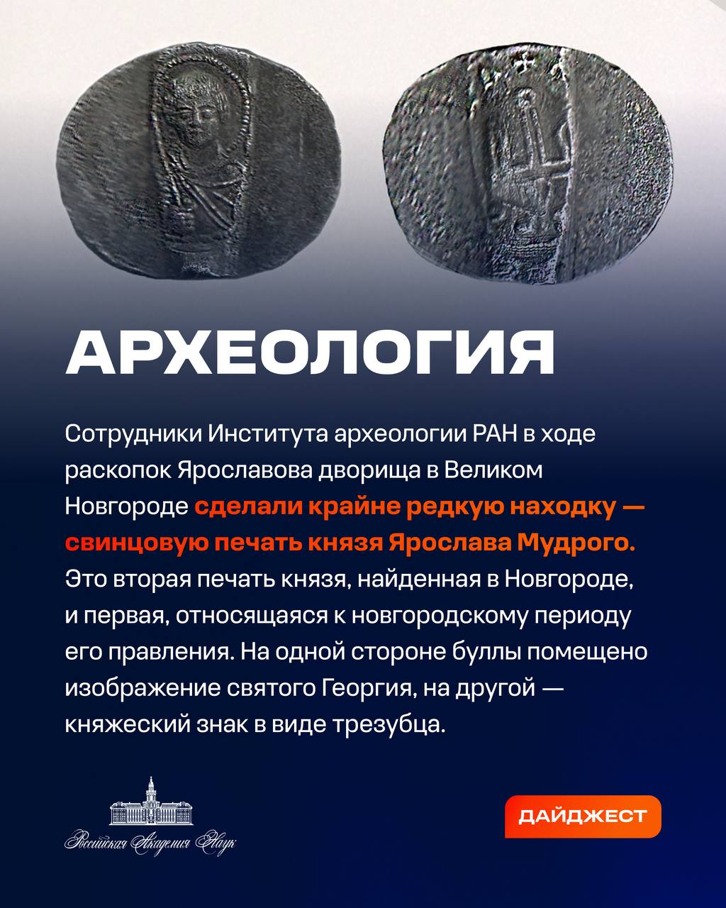 О самых интересных открытиях российских ученых за неделю по версии Минобрнауки России, РАН и РНФ — смотрите в карточках 👆🏻
Подробнее:
📍 о создании гибридных соединений редкоземельных металлов;
📍 о про... | Сетка — социальная сеть от hh.ru