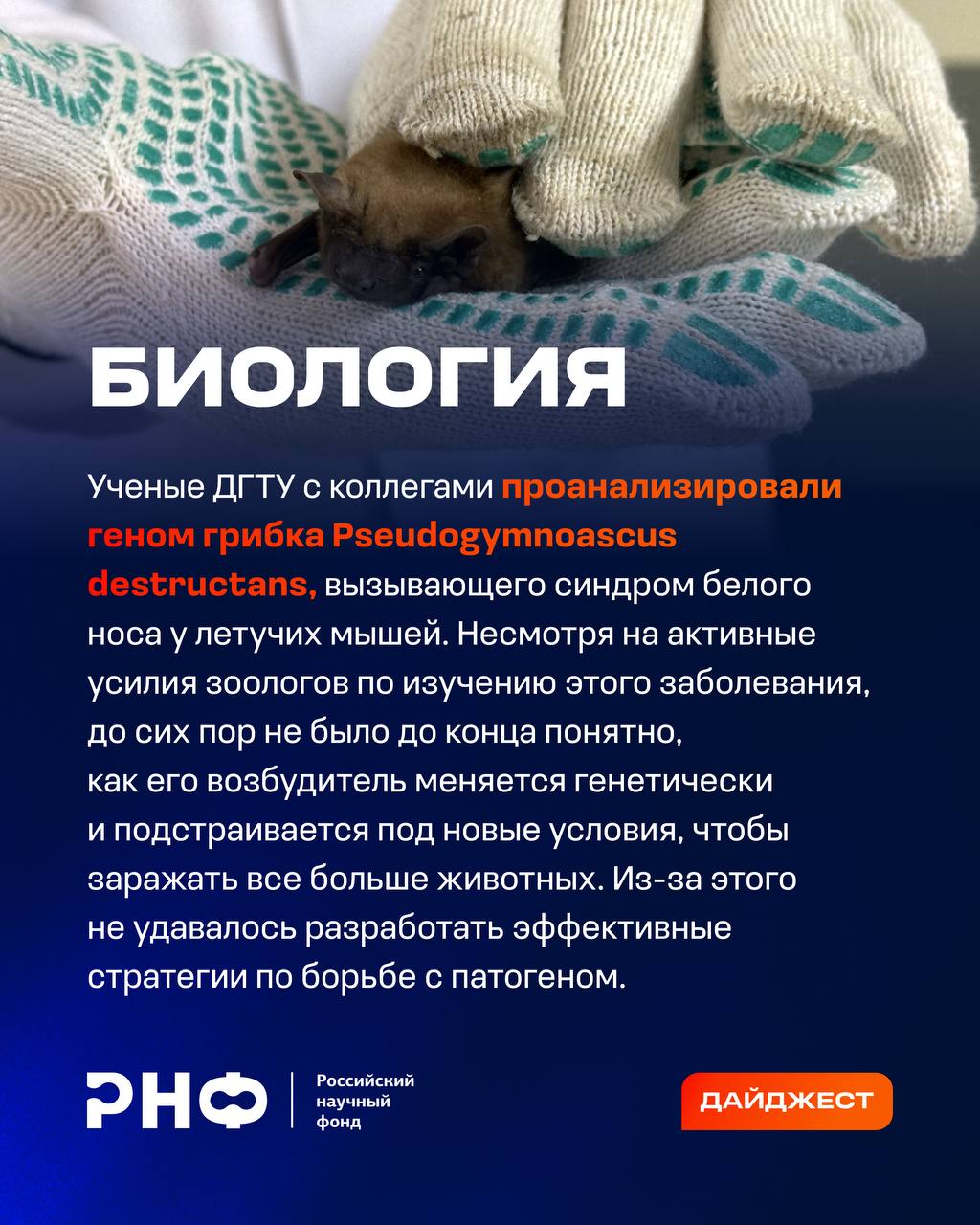 О самых интересных открытиях российских ученых за неделю по версии Минобрнауки России, РАН и РНФ — смотрите в карточках 👆🏻
Подробнее:
📍 о создании гибридных соединений редкоземельных металлов;
📍 о про... | Сетка — социальная сеть от hh.ru