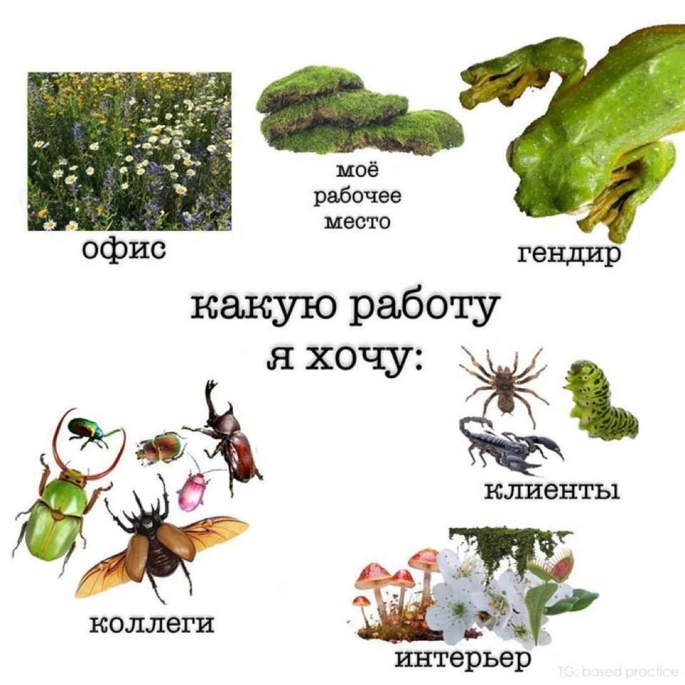 «Бороться и искать — найти и не сдаваться» | Сетка — социальная сеть от hh.ru