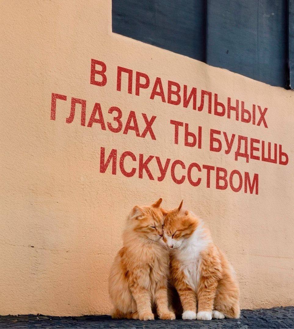 🔤6️⃣0️⃣
В правильных глазах ты будешь искусством:
Мы привыкли измерять себя чужими мерками.
Гонка за признанием делает нас зависимыми от аплодисментов, оценок, статусов | Сетка — социальная сеть от hh.ru
