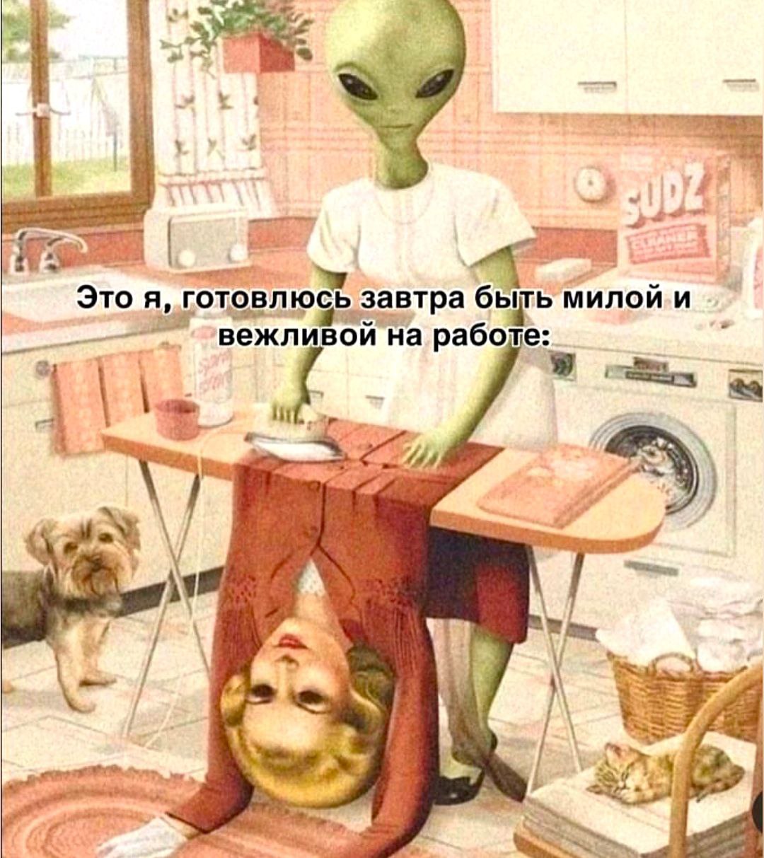 Знакомо? 😁😁😁😁 | Сетка — социальная сеть от hh.ru