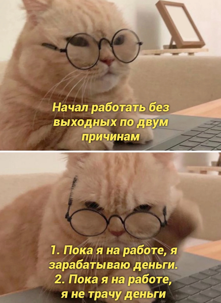 Лайк коту трудоголику 🐈 | Сетка — социальная сеть от hh.ru