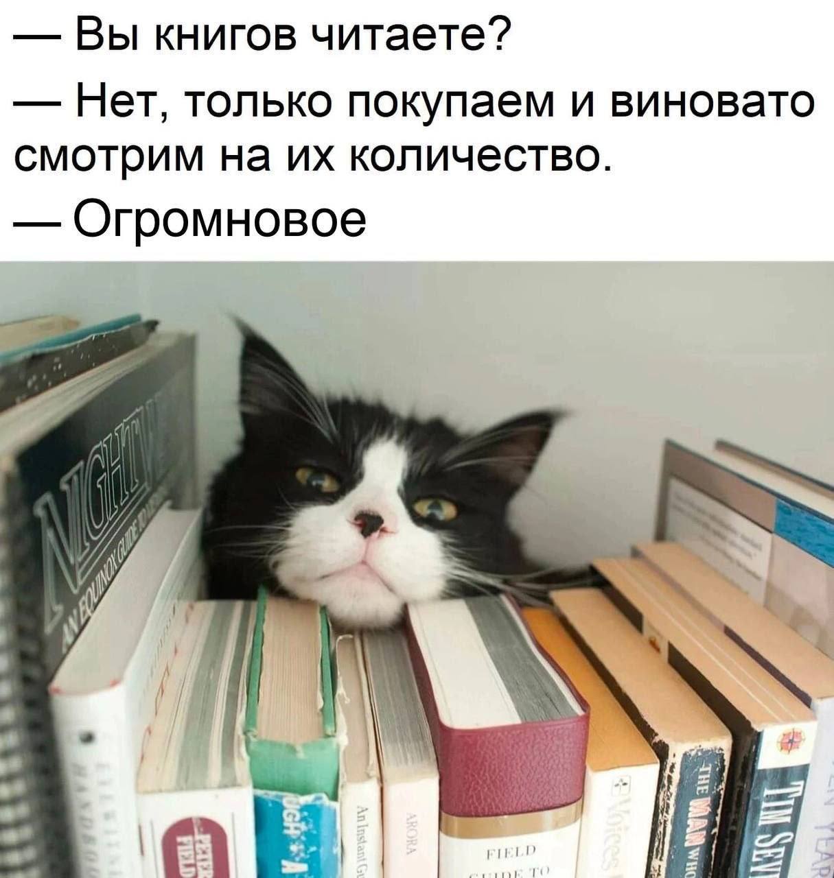 Друзья, всем отличной субботы 👋
Наконец-то собрала список книг для тех, кто интересуется ИИ | Сетка — социальная сеть от hh.ru