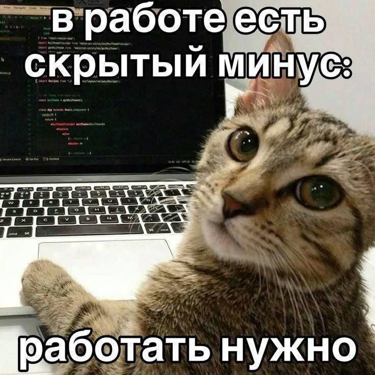 DevNote #0 Итак, попробуем! | Сетка — социальная сеть от hh.ru
