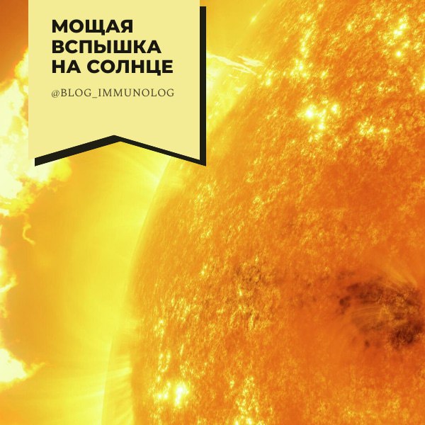 ⚡️СРОЧНО! Мощная солнечная вспышка! 💥⚡️
Друзья, сегодня на Солнце произошла очень серьёзная вспышка класса М! Это предпоследний класс по мощности перед самым мощным X! 😱 Вспышка длилась целых девять м... | Сетка — социальная сеть от hh.ru