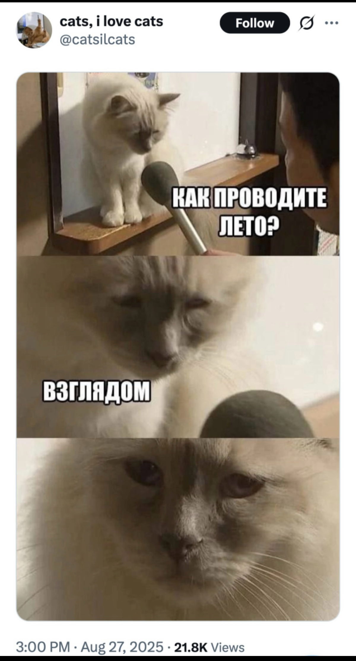 Всем привет! Настроение на выходные только такое | Сетка — социальная сеть от hh.ru