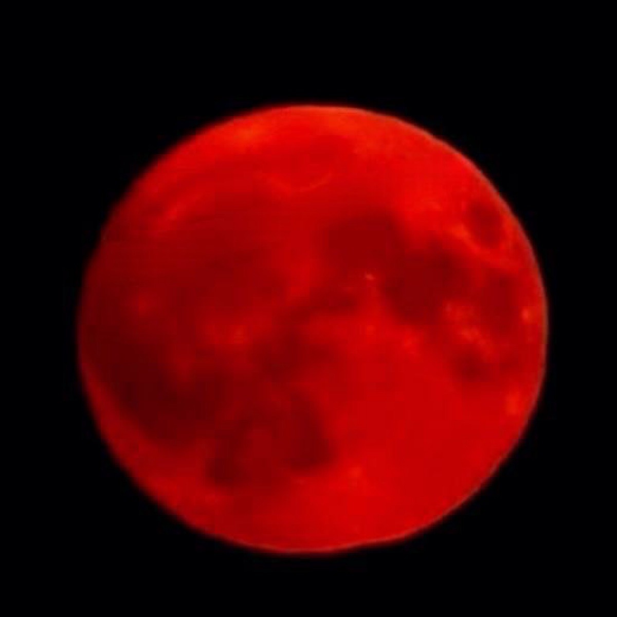 Roman Weber | Сетка — социальная сеть от hh.ru