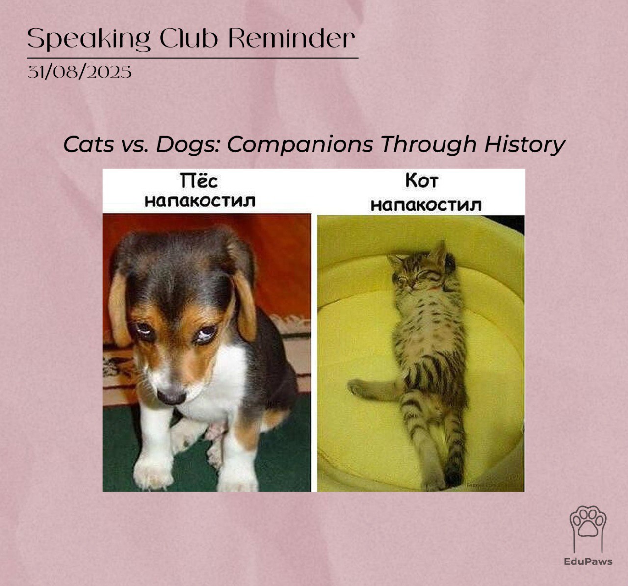 🔔 SPEAKING CLUB REMINDER: "Cats vs | Сетка — социальная сеть от hh.ru