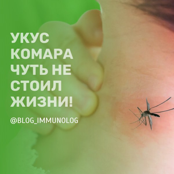 😱 Укус комара чуть не стоил жизни! 😱
Друзья, сегодня хочу рассказать вам невероятную историю, которая случилась с 28-летним Евгением из Подмосковья | Сетка — социальная сеть от hh.ru