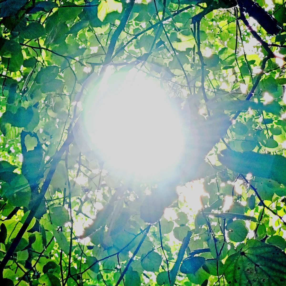 солнечный 风 deep blue sea,
хочет касаться морскую 心,
и пусть говорят «没有灵»,
[но] так ли уж важно, всё что!(咪摸)  
каждый день просыпаемся в 七夕,
分手 просто функция frequency,
небо раскрасила 流明娜,
это 至—是... | Сетка — социальная сеть от hh.ru