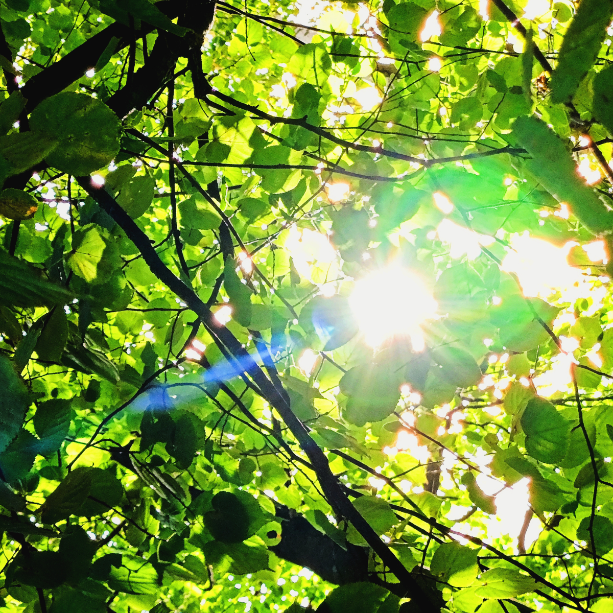 солнечный 风 deep blue sea,
хочет касаться морскую 心,
и пусть говорят «没有灵»,
[но] так ли уж важно, всё что!(咪摸)  
каждый день просыпаемся в 七夕,
分手 просто функция frequency,
небо раскрасила 流明娜,
это 至—是... | Сетка — социальная сеть от hh.ru