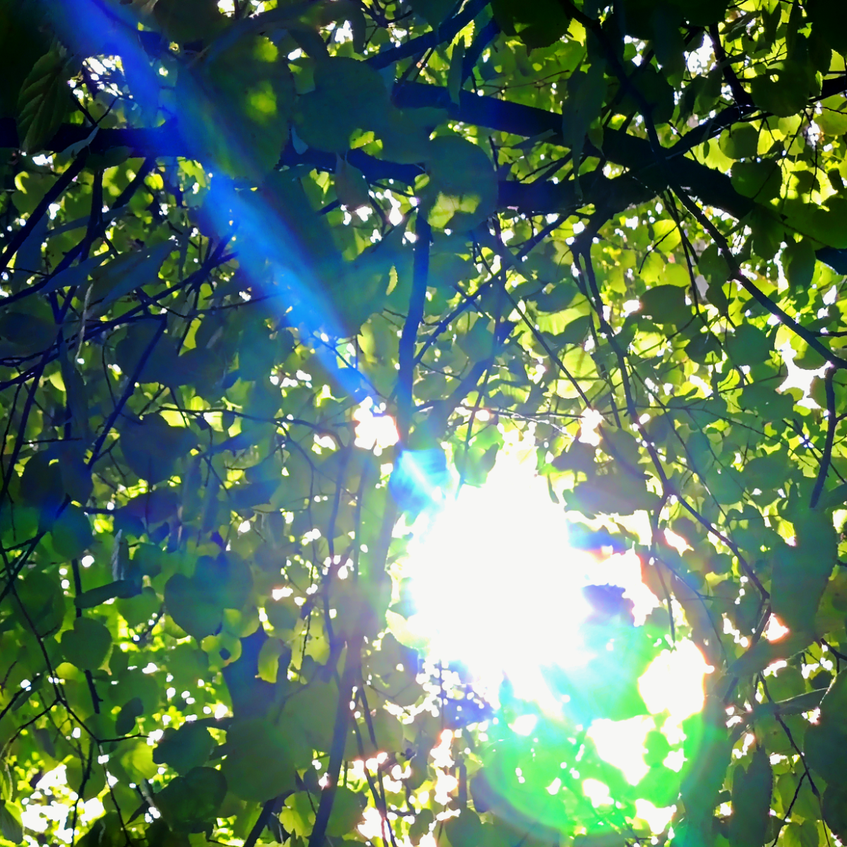 солнечный 风 deep blue sea,
хочет касаться морскую 心,
и пусть говорят «没有灵»,
[но] так ли уж важно, всё что!(咪摸)  
каждый день просыпаемся в 七夕,
分手 просто функция frequency,
небо раскрасила 流明娜,
это 至—是... | Сетка — социальная сеть от hh.ru