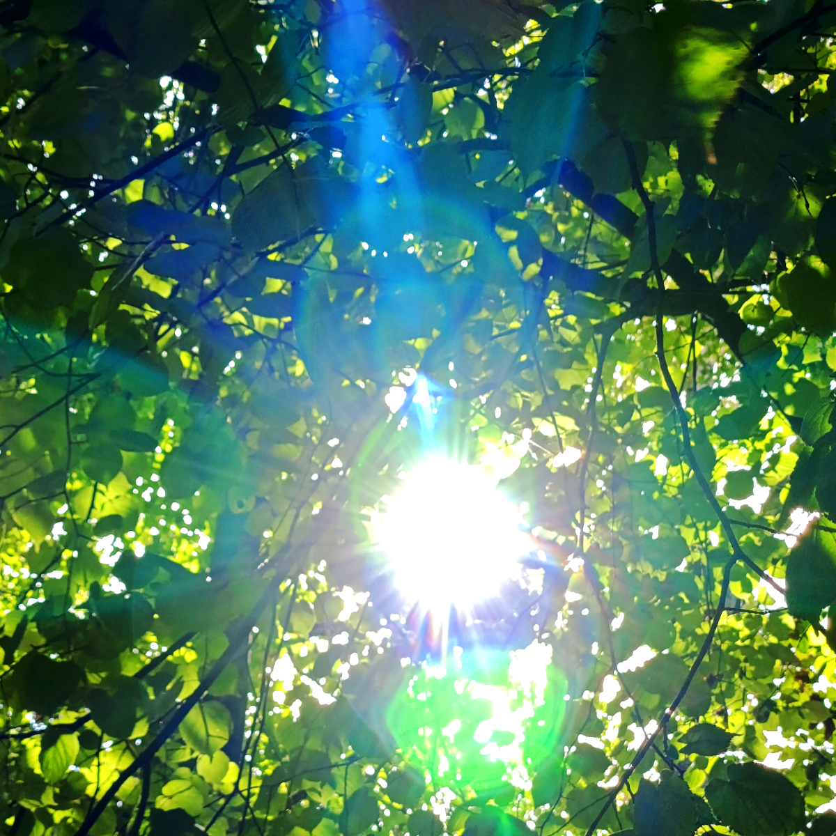 солнечный 风 deep blue sea,
хочет касаться морскую 心,
и пусть говорят «没有灵»,
[но] так ли уж важно, всё что!(咪摸)  
каждый день просыпаемся в 七夕,
分手 просто функция frequency,
небо раскрасила 流明娜,
это 至—是... | Сетка — социальная сеть от hh.ru