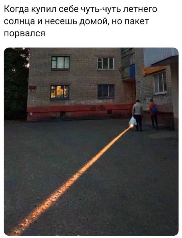 #summer | Сетка — социальная сеть от hh.ru