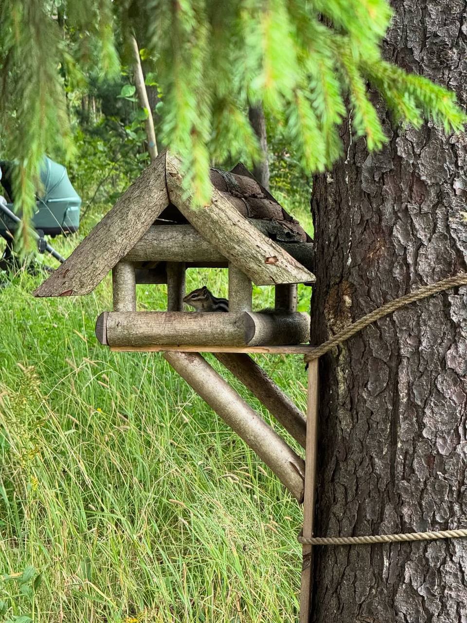 🌳Подмосковный парк «Ближняя дача»
Пн-Вс 7:00-22:00
В парке вы найдете благоустроенную зону для прогулок и отдыха, ресторан, водопад, ухоженные газоны и клумбы
На территории парка живет большое количес... | Сетка — социальная сеть от hh.ru