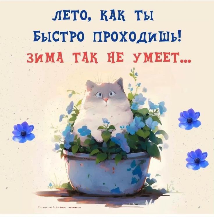 А в вашем городе тоже 9 месяцев зима, остальное лето? 😀 | Сетка — социальная сеть от hh.ru