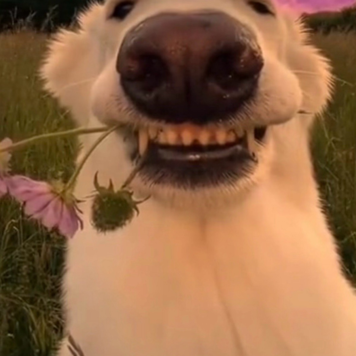 Егор Александрович | Сетка — социальная сеть от hh.ru