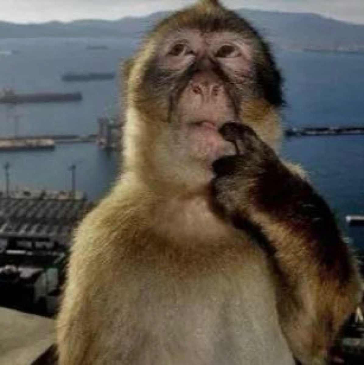 Sspace Rwb | Сетка — социальная сеть от hh.ru