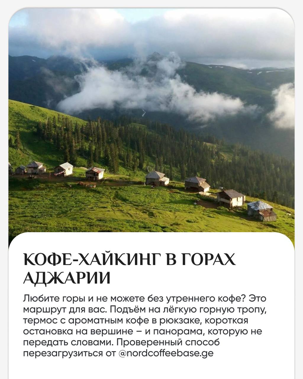 Бархатный сезон в Батуми – лучшее время для активных прогулок.
Море тёплое, солнце мягкое, туристов меньше | Сетка — социальная сеть от hh.ru