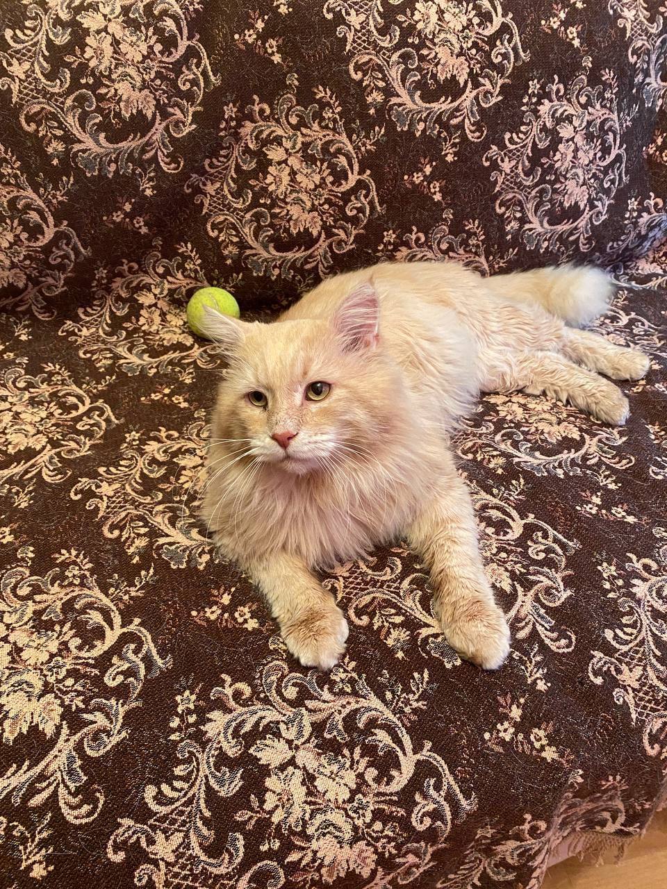 Товарищи! К сожалению, мы вынуждены прибегнуть к тому, что Игнатий не очень одобряет, но другого варианта нет. Это касается больше не блога, а быта четы Цукергохеров. Но вариантов у нас нет | Сетка — социальная сеть от hh.ru