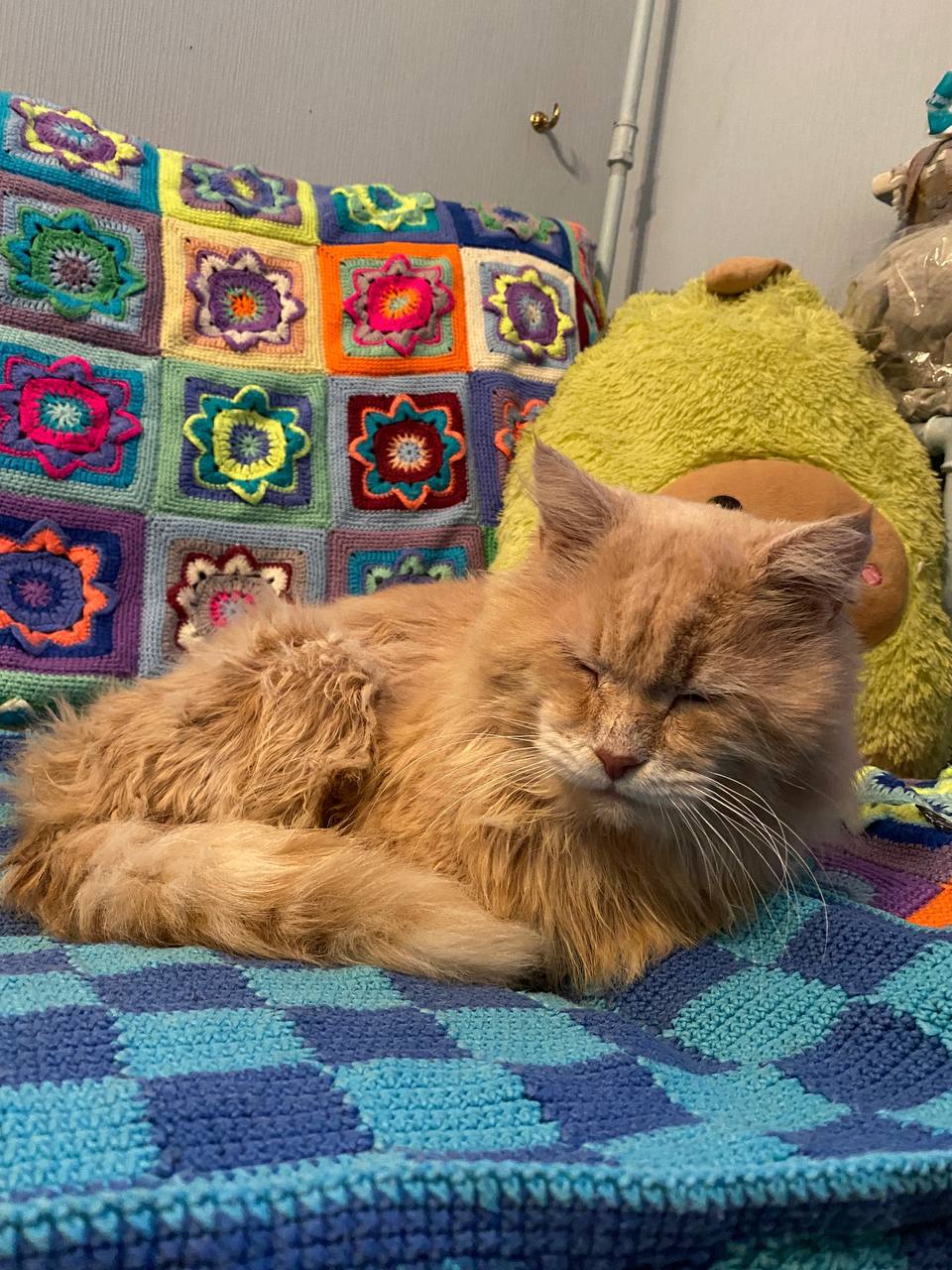 Товарищи! К сожалению, мы вынуждены прибегнуть к тому, что Игнатий не очень одобряет, но другого варианта нет. Это касается больше не блога, а быта четы Цукергохеров. Но вариантов у нас нет | Сетка — социальная сеть от hh.ru