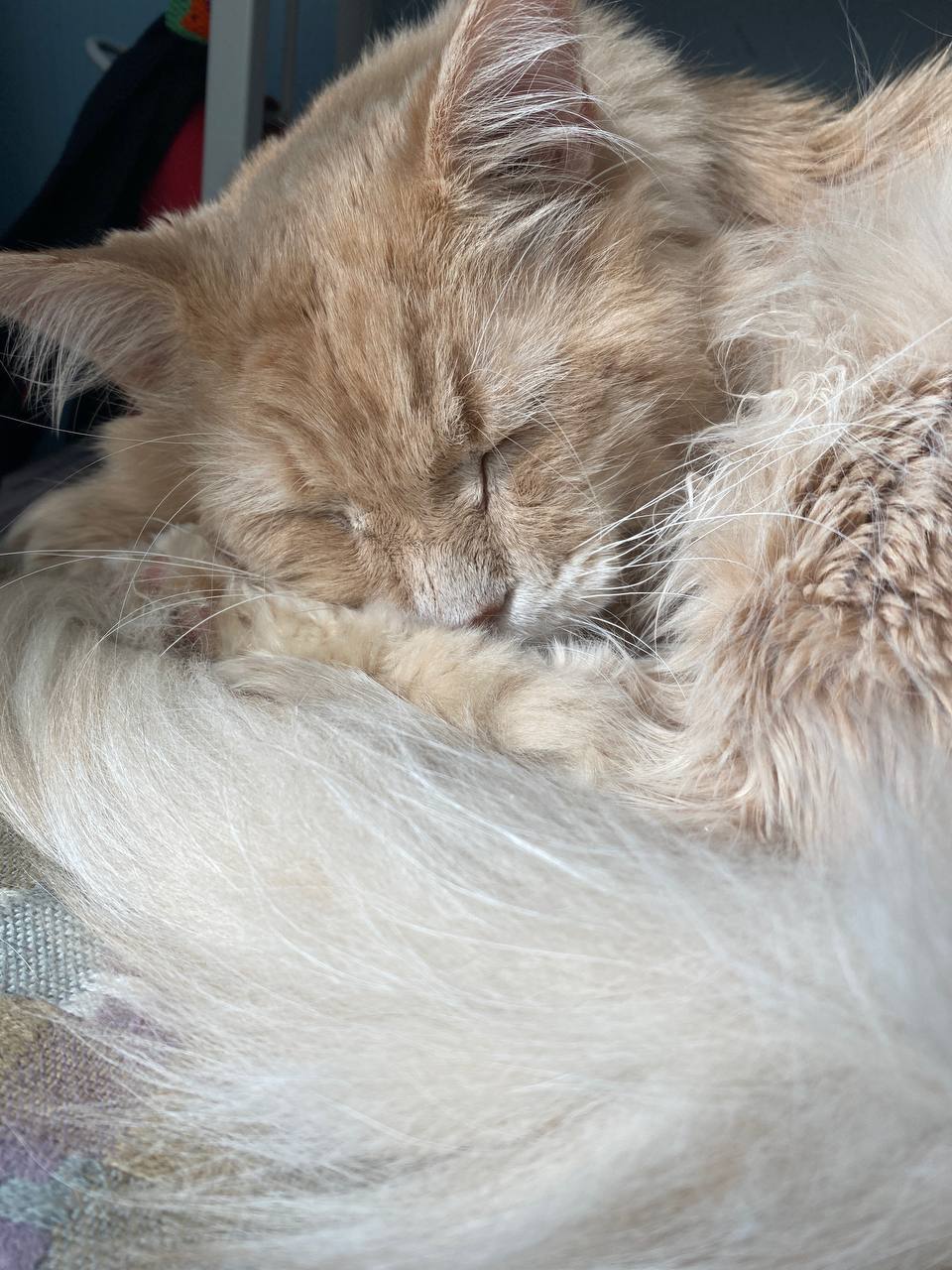 Товарищи! К сожалению, мы вынуждены прибегнуть к тому, что Игнатий не очень одобряет, но другого варианта нет. Это касается больше не блога, а быта четы Цукергохеров. Но вариантов у нас нет | Сетка — социальная сеть от hh.ru