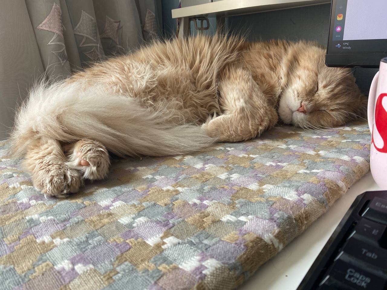 Товарищи! К сожалению, мы вынуждены прибегнуть к тому, что Игнатий не очень одобряет, но другого варианта нет. Это касается больше не блога, а быта четы Цукергохеров. Но вариантов у нас нет | Сетка — социальная сеть от hh.ru